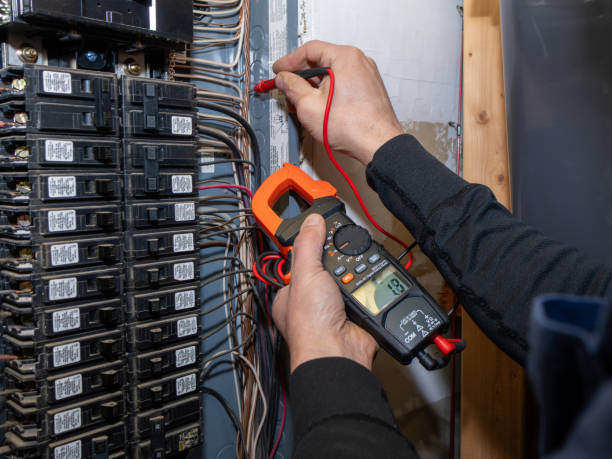 Best Electric Panel Repair  in Lauderdale Lakes, FL